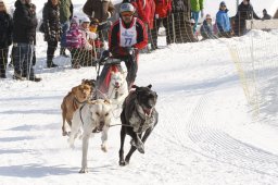 Lenk 2012 SM